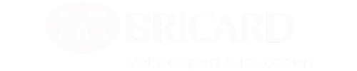 serrure marque bricard